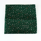 Aerial Green & Petal - Geometric Silk Bow Tie